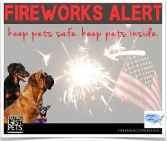 Enjoy Your Memorialdayweekend But Remember That Most Pets Do Not Enjoy Fireworks Losing A Dog Pet Holiday Pet Safe