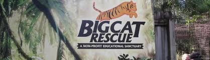 Good availability and great rates. Cheap Big Cat Rescue Tampa Tours Ticket Prices 2019 Metatrip