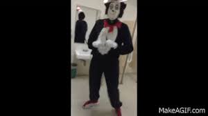 Cat In The Hat In Bathroom On Make A Gif