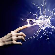 3 raisons possibles aux engourdissements et picotements au niveau des membres inférieurs. 3 Raisons Possibles Aux Engourdissements Et Picotements Des Mains