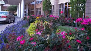 We did not find results for: Best St Louis Commercial Landscape Design Build Company