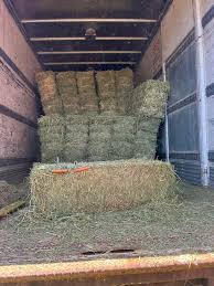 Profile for Jeremiah Riggs