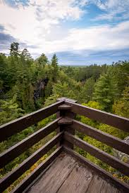 The local town nearby is pleasant. Our Puppy S First Camping Trip At Moose Lake State Park Sierra Club