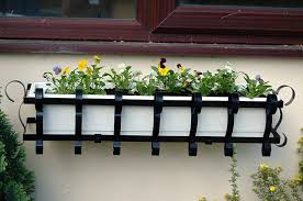 Back in february i still didn't know if i had a plot at the community garden, so i was planning for extra containers at home while also planning a vegetable garden. Outdoor Window Garden Basket Planters Ruddings Wood Set Of 2 X 61cm 24 Wall Troughs Metal Rectangular Flower Boxes Wall Mounted Containers Includes Coco Liners Window Boxes Co Garden Outdoors