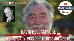 Screentalk Interview with Tony Hiles