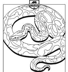 Burmese Python Coloring Page C S W D Snake Crafts Coloring Pages Reptile Party