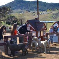 The camel dairy store offers camel products. Oasis Camel Dairy Open Farm Tour Show August 27 And 28 East County Magazine