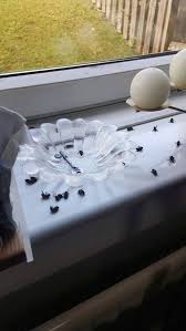 By contrast, bee houses—also called bee hotels—attract and house solitary bee species. Family Who Kept Finding Dead Bees In House Discovered A Swarm Of 10 000 In Their Chimney Mirror Online