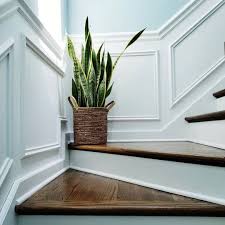 These online plant delivery services will totally greenify your home. London Plant Delivery 7 Services That Will Help You Bring The Outside In