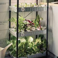 A hydroponic indoor gardening kit that fits right on the kit, called the krydda/växer series, is not the first indoor hydroponic gardening kit on the. Ikea Launches Hydroponic Indoor Gardening Kit Ideal Home