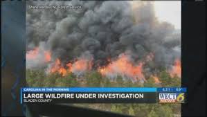 Forest Service, volunteer firefighters work to douse Bladen Co. wildfire