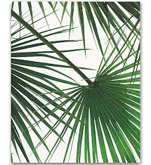 Cut out the shape and use it for coloring, crafts, stencils, and more. Amazon Com Tropical Leaf Print Palm Tree Print Palm Leaf Print Palm Tree Art Wall Art Green Wall Decor Tropical Art Palm Tree Plant Wall Art Green Plant Green Leaves Art Leaves Poster