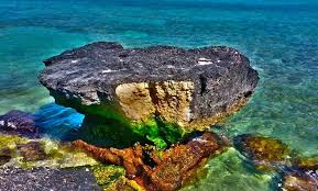 ‫12 تا از دیدنی های کیش تفریحات و مکان ...‬‎