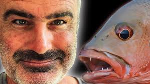 Talking Aquatic Isopods with @InMyTanks: Comparing Scuds & Isopods Pros &  Cons LIVE.