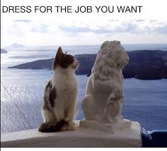 #meme saturday #( i ran out of steam so you get a bullshit answer for the murder question ) #( welcome to jhin: Funny Cute Cat Meme Dump Happy Caturday Album On Imgur