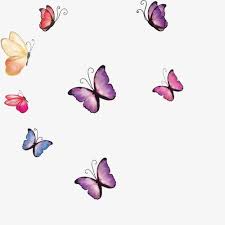 Purplish Red Colored Butterflies Swarm Butterfly Red Butterfly Purple Butterfly Png Transparent Image And Clipart For Free Download Purple Butterfly Red Butterfly Purplish Red