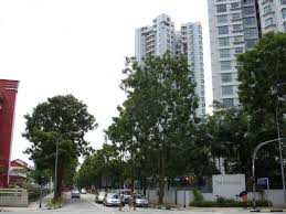 Wear a mask when not at home unless participating in high strenuous exercise. Bukit Batok Street 31 Hdb Details Srx