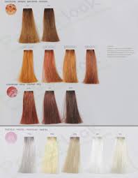 Loreal Luo Color Zestaw Farba Rewelator Szampon Hair Color