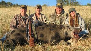 Bryson Hesperia ResortBoar Hunting & Wild Pig Hunting in California (CA),  Lodging, Cabins & Hotel in Lake Nacimiento, San Antonio Lake, Fort Hunter  Liggett, Pig Hunting, Camp Roberts, Turkey Hunting, Black Tail