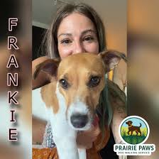 Special education job openings in Elgin and Lombard