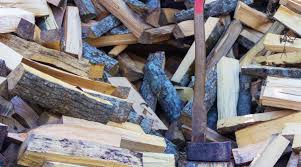 Ask your own home improvement question Is Beech Good For Firewood Beech Firewood Guide