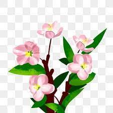 Pink Flowers In Full Bloom Pink Flower Bloom Png Transparent Clipart Image And Psd File For Free Download Pink Flowers Bloom Peach Blossom Tree