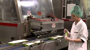 The company offers appetizers, desserts, pizza snack rolls, treats, frozen meals, side dishes, sauces, fillings bellisio foods serves customers globally. Ohio S Another Billion Back Bellisio Foods Youtube