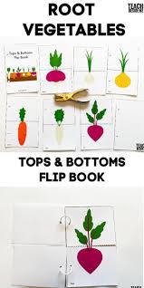 Maybe you would like to learn more about one of these? Root Vegetables Tops And Bottoms Flip Book Teach Beside Me