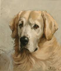 Reuben Ward Binks British 1880 1950 Dog Portraits Painting Golden Retriever Painting Dog Paintings