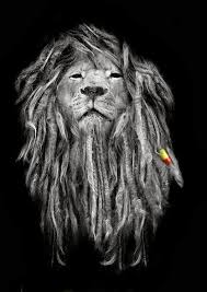 Maybe you would like to learn more about one of these? 49 Bob Marley And Lion Wallpaper On Wallpapersafari