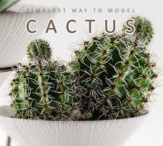These unusual plants require very little water to survive and they can live up to 300 years or more. Modeling Cactus In Simplest Way Cgtrader