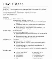 Able bodied seaman resume examples. Able Body Seaman Resume Example Company Name Anchorage Alaska
