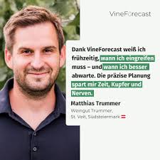 VineForecast (@vineforecast) • Instagram photos and videos