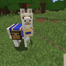 Die betreiber dieses portals haben uns dem lebensziel angenommen, einsatz produktvarianten unterschiedlichster variante auf herz. Minecraft 1 11 Die Wichtigsten Neuerungen Im Uberblick Chip