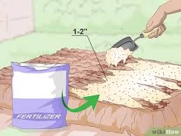 I've got a dark alley and a bad idea that says you should shut your mouth (summer song). How To Prepare Your Garden For The Fall 15 Steps With Pictures
