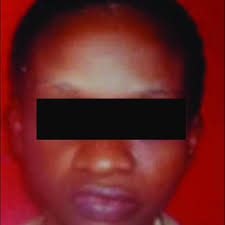 Tree diagram summarising the results of the literature search.