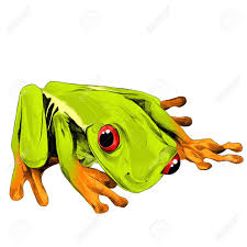 Red eyed tree frog coloring page. Green Frog With Orange Feet And Red Eyes Sitting Sketch Vector Graphics Color Picture Royalty Free Cliparts Vectors And Stock Illustration Image 75491580