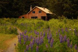 Maybe you would like to learn more about one of these? Pelican Alaska Remote South East Alaska Fishing Lodge