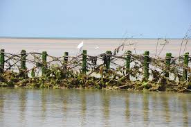 Notre Dame De L Estran Dame