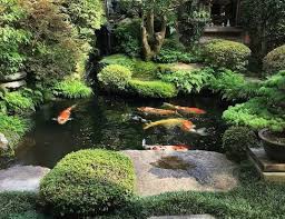 Nah, supaya tampilan eksterior rumah lebih impresif, kamu bisa meniru sejumlah inspirasi desain kolam ikan minimalis batu alam berikut ini. 17 Inspirasi Kolam Ikan Depan Rumah Mau Kolam Minimalis Atau Desain Jepang Rumah123 Com