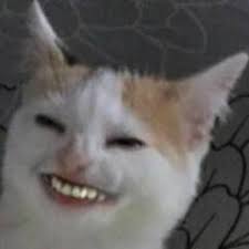 Only one of GPU fan spinning