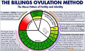 When Is Your Fertile Window Fertility Calendar