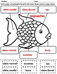 Tiene muchas escamas de plata brillantes y de multiples colores. El Pez Arcoiris By Bilingual Queen Bee Teachers Pay Teachers