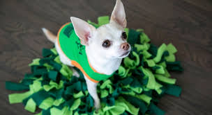 Here are 7 diy dog puzzles you can make at home including: Diy Snuffle Mat An Interactive Dog Toy That Busts Doggy Boredom