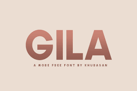 By downloading the font, you agree to our terms and conditions. Gila Font Free For Personal