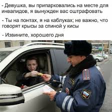 не важно что говорят крысы за спиной у кисы Pin Ot Polzovatelya Dmitry Trubenkov Na Doske Memasiki