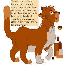 Thunderstar By Purespiritflower Deviantart Com On Deviantart Warrior Cats Books Warrior Cats Art Warrior Cats Fan Art