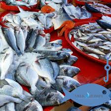 The Coast Of Antalya Is An Ideal Place For Fishing Because Of Its Abundance Of Fish As In The Past Fishing Is Still An Importa Mama Tarifleri Tarifler Balik
