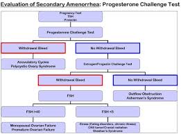 Image result for Progesterone Challenge Test