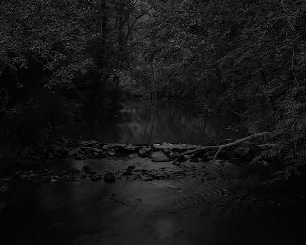 Dark Water - High Museum of Art